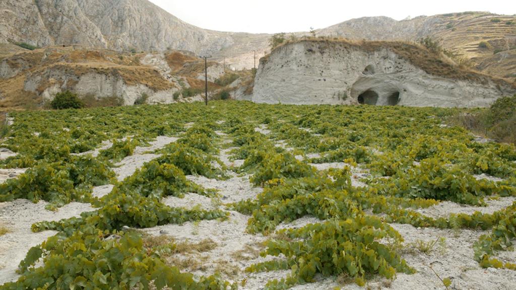 estate-argyros-4