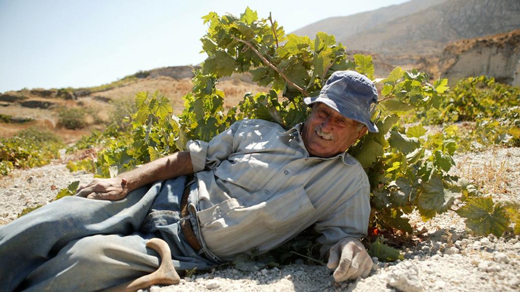 estate-argyros-9