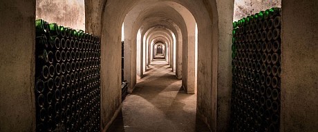 IMG_8324